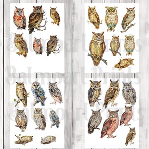 Vintage Owl Fussy Cuts - Junk Journal , Printable Journal, Junk Journal Tags, Junk Journal Ephemera, Bird Fussy Cuts