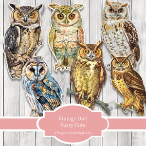 Vintage Owl Fussy Cuts - Junk Journal , Printable Journal, Junk Journal Tags, Junk Journal Ephemera, Bird Fussy Cuts