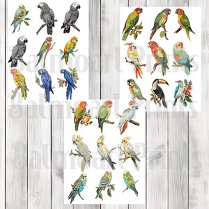 Vintage Bird Fussy Cuts - Junk Journal , Printable Journal, Junk Journal Tags, Junk Journal Ephemera