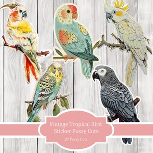 Vintage Bird Fussy Cuts - Junk Journal , Printable Journal, Junk Journal Tags, Junk Journal Ephemera