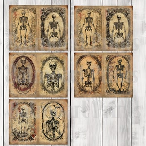 Vintage Skeleton Journal Paper Set, Junk Journal Pages, Flower Junk Journal Paper, Printable Journal, Scrapbook Paper, Digital Paper
