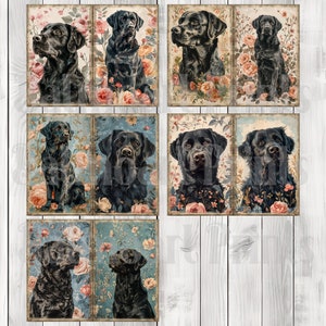 Black Labrador Journal Paper Set, Junk Journal Pages, Flower Junk Journal Paper, Printable Journal, Scrapbook Paper, Digital Paper