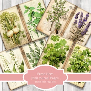 Fresh Herb - Journal Paper Set, Junk Journal Pages, Flower Junk Journal Paper, Printable Journal, Scrapbook Paper, Digital Paper