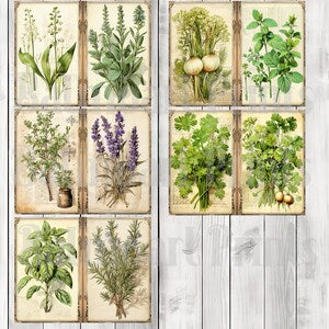 Fresh Herb - Journal Paper Set, Junk Journal Pages, Flower Junk Journal Paper, Printable Journal, Scrapbook Paper, Digital Paper