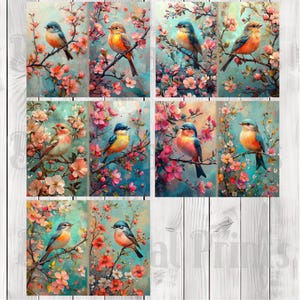 Vibrant Spring Finches - Journal Paper Set, Junk Journal Pages, Flower, Journal Paper, Printable Journal, Scrapbook Paper, Digital Paper