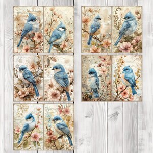 Blue Tit - Junk Journal Pages, Journal Paper Set, Bird Junk Journal Paper, Printable Journal, Scrapbook Paper, Digital Paper