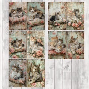 Shabby Chic Cats - Journal Paper Set, Junk Journal Pages, Flower, Journal Paper, Printable Journal, Scrapbook Paper, Digital Paper