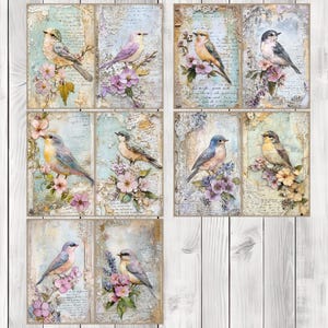 Victorian Bird - Journal Paper Set, Junk Journal Pages, Flower Junk Journal Paper, Printable Journal, Scrapbook Paper, Digital Paper