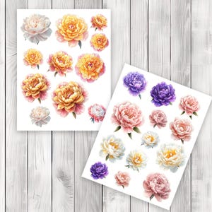 Peony Blossom Fussy Cuts - Junk Journal , Printable Journal, Junk Journal Tags, Junk Journal Ephemera