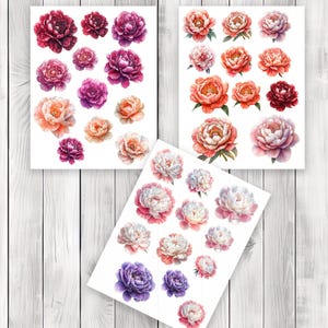Peony Blossom Fussy Cuts - Junk Journal , Printable Journal, Junk Journal Tags, Junk Journal Ephemera