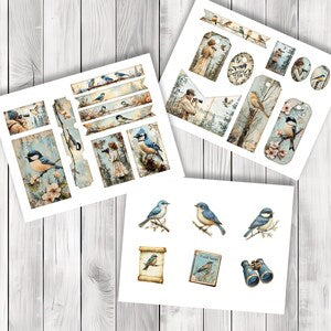 Bird Watching Overloaded Tag Kit - Botanical - Loaded Tags | Ephemera Labels | Paper Craft | Junk Journal Images Clip Art | Fussy Cut