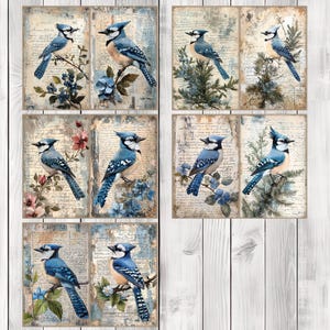 Decoupage Blue Jay - Journal Paper Set, Junk Journal Pages, Flower Junk Journal Paper, Printable Journal, Scrapbook Paper, Digital Paper