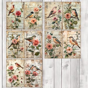 Botanical Bird - Journal Paper Set, Junk Journal Pages, Flower Junk Journal Paper, Printable Journal, Scrapbook Paper, Digital Paper