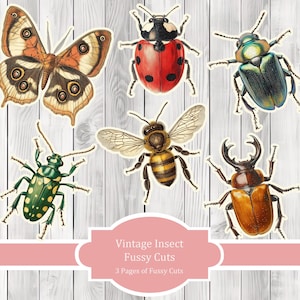 Vintage Insect Fussy Cuts - Junk Journal , Printable Journal, Junk Journal Tags, Junk Journal Ephemera
