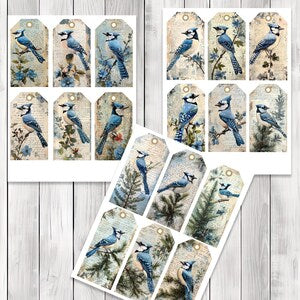Decoupage Blue Jay - Junk Journal Tags - Ephemera Labels - Junk Journal Images - Fussy Cut - Scrapbooking - Instant Download