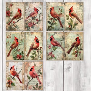 Decoupage Cardinal - Journal Paper Set, Junk Journal Pages, Flower Junk Journal Paper, Printable Journal, Scrapbook Paper, Digital Paper