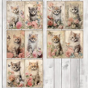 Floral Kitten - Journal Paper Set, Junk Journal Pages, Flower Junk Journal Paper, Printable Journal, Scrapbook Paper, Digital Paper
