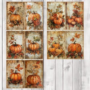 Fall Pumpkin - Journal Paper Set, Junk Journal Pages, Flower Junk Journal Paper, Printable Journal, Scrapbook Paper, Digital Paper