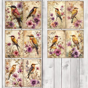 Bee Eater - Journal Paper Set, Junk Journal Pages, Flower Junk Journal Paper, Printable Journal, Scrapbook Paper, Digital Paper