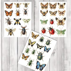 Vintage Insect Fussy Cuts - Junk Journal , Printable Journal, Junk Journal Tags, Junk Journal Ephemera