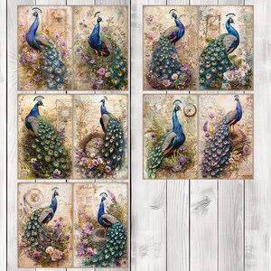 Peacock - Journal Paper Set, Junk Journal Pages, Flower Junk Journal Paper, Printable Journal, Scrapbook Paper, Digital Paper
