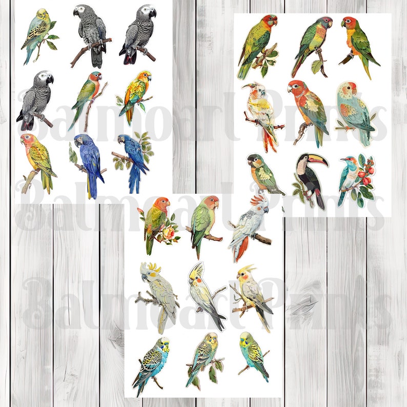 Vintage Bird Fussy Cuts - Junk Journal , Printable Journal, Junk Journal Tags, Junk Journal Ephemera