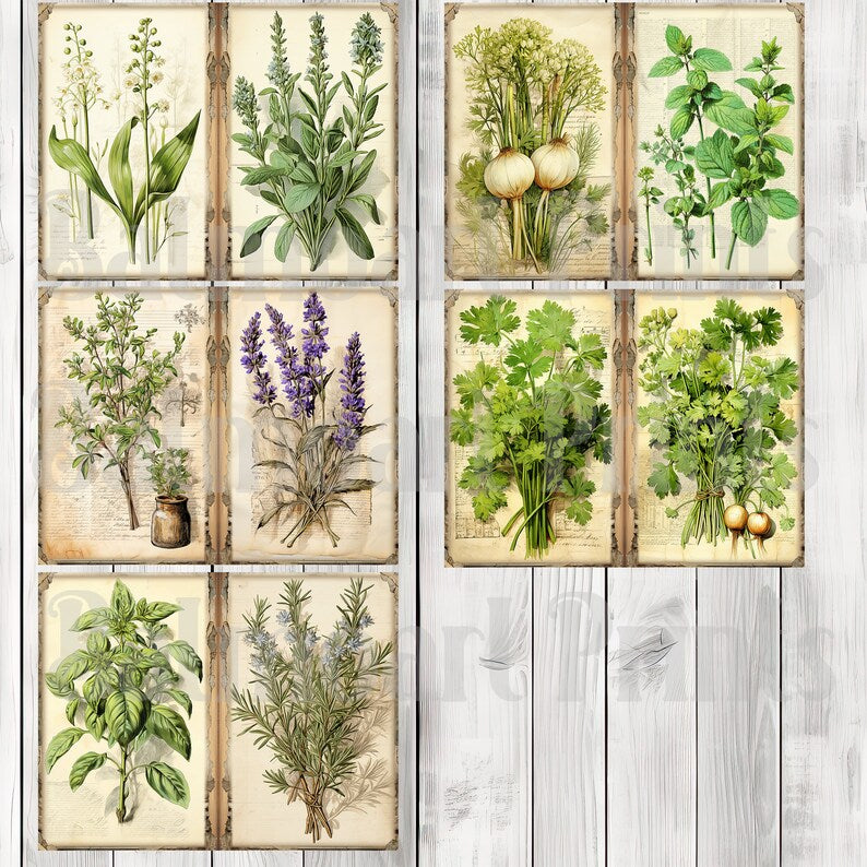 Fresh Herb - Journal Paper Set, Junk Journal Pages, Flower Junk Journal Paper, Printable Journal, Scrapbook Paper, Digital Paper
