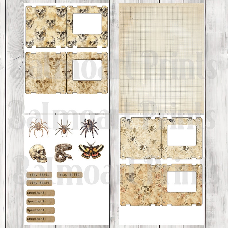 Halloween Specimen Card Tag Kit - Loaded Tags | Ephemera Labels | Paper Craft | Junk Journal Images Clip Art | Fussy Cut