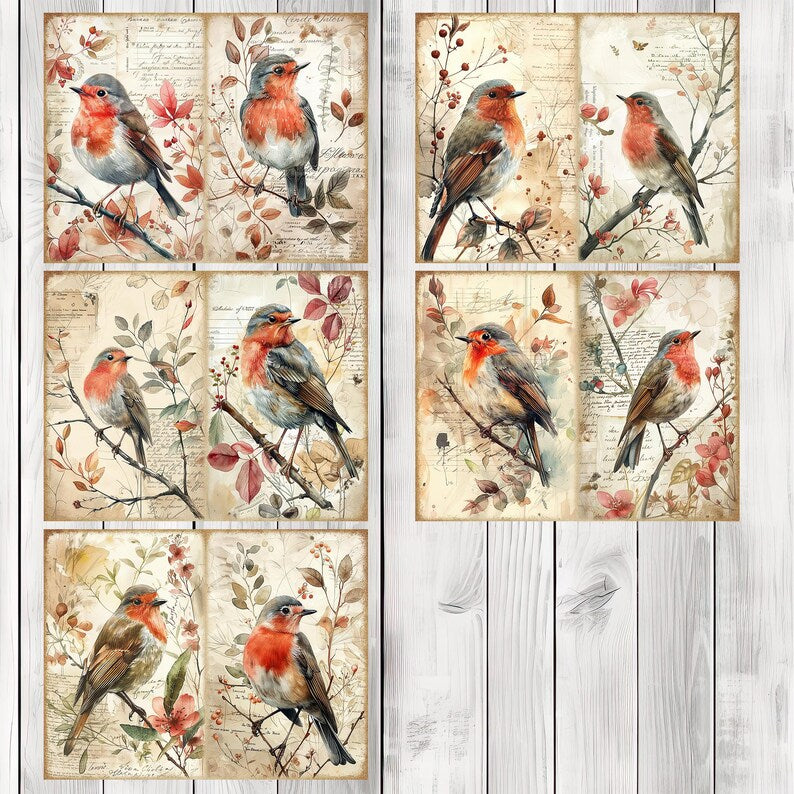 European Robin - Junk Journal Pages, Journal Paper Set, Bird Junk Journal Paper, Printable Journal, Scrapbook Paper, Digital Paper