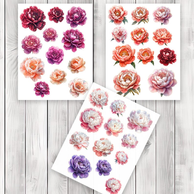 Peony Blossom Fussy Cuts - Junk Journal , Printable Journal, Junk Journal Tags, Junk Journal Ephemera