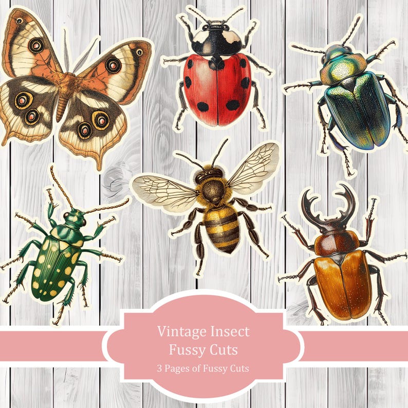 Vintage Insect Fussy Cuts - Junk Journal , Printable Journal, Junk Journal Tags, Junk Journal Ephemera