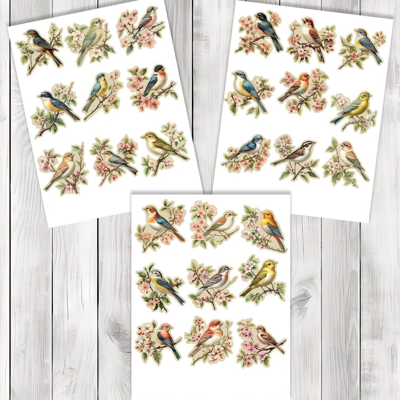 Vintage Songbird Fussy Cuts - Junk Journal , Printable Journal, Junk Journal Tags, Junk Journal Ephemera