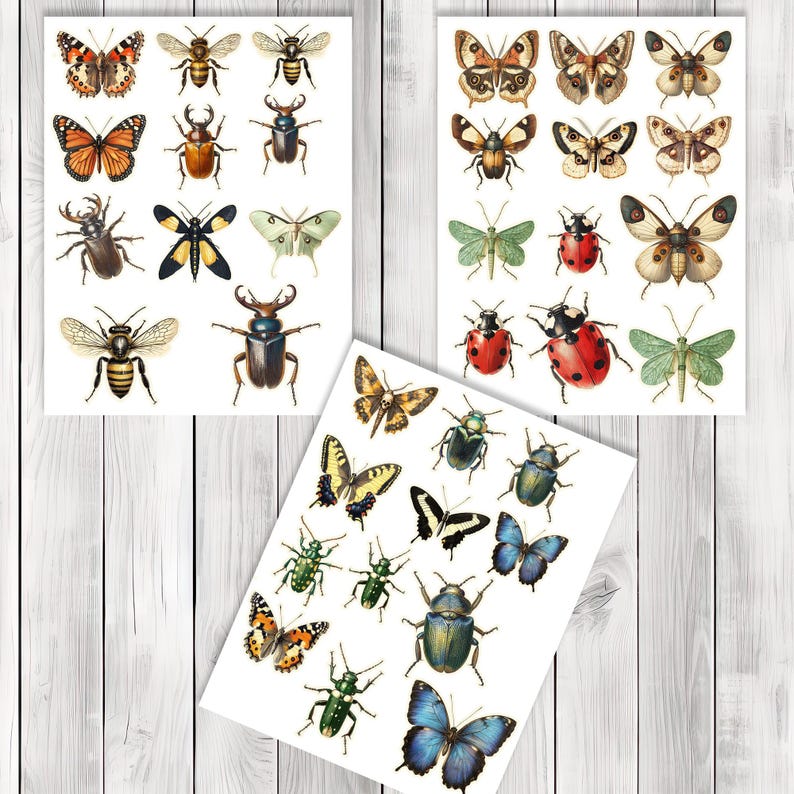 Vintage Insect Fussy Cuts - Junk Journal , Printable Journal, Junk Journal Tags, Junk Journal Ephemera
