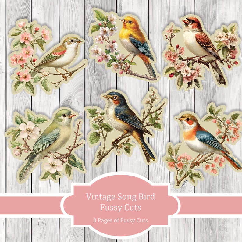 Vintage Songbird Fussy Cuts - Junk Journal , Printable Journal, Junk Journal Tags, Junk Journal Ephemera