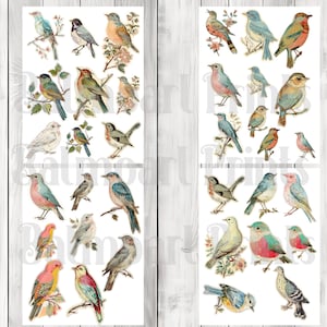 Vintage Bird Fussy Cuts - Junk Journal , Printable Journal, Junk Journal Tags, Junk Journal Ephemera