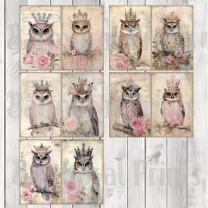 Crowned Owls - Journal Paper Set, Junk Journal Pages, Flower Junk Journal Paper, Printable Journal, Scrapbook Paper, Digital Paper