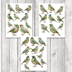 Green Paper Bird Fussy Cuts - Junk Journal , Printable Journal, Junk Journal Tags, Junk Journal Ephemera