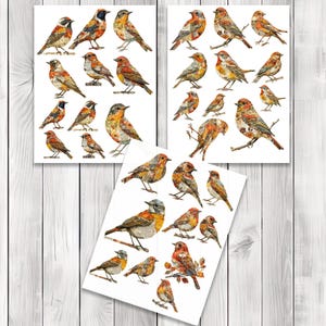 Autumn Paper Bird Fussy Cuts - Junk Journal , Printable Journal, Junk Journal Tags, Junk Journal Ephemera