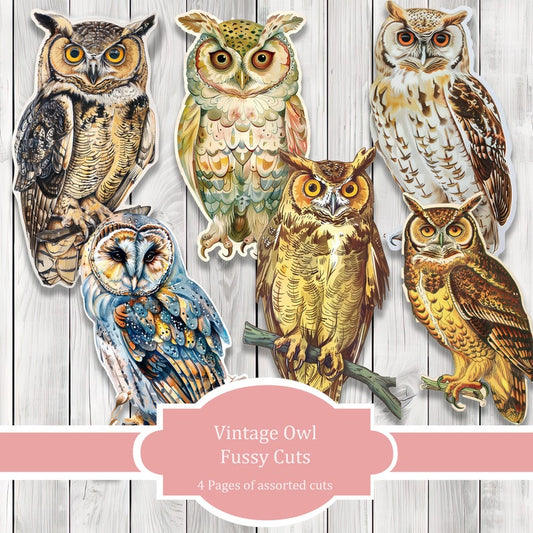 Vintage Owl Fussy Cuts - Junk Journal , Printable Journal, Junk Journal Tags, Junk Journal Ephemera, Bird Fussy Cuts