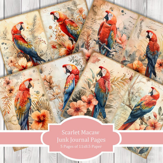 Scarlet Macaw - Junk Journal Pages, Journal Paper Set, Bird Junk Journal Paper, Printable Journal, Scrapbook Paper, Digital Paper