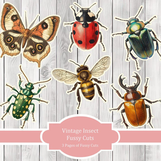 Vintage Insect Fussy Cuts - Junk Journal , Printable Journal, Junk Journal Tags, Junk Journal Ephemera