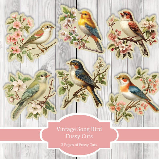 Vintage Songbird Fussy Cuts - Junk Journal , Printable Journal, Junk Journal Tags, Junk Journal Ephemera
